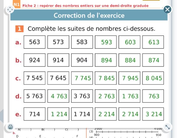 Visualisation de la fenêtre du corrigé fixe d'un exercice.